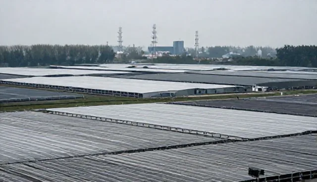企业信息化方案选型关注点与限制条件分析